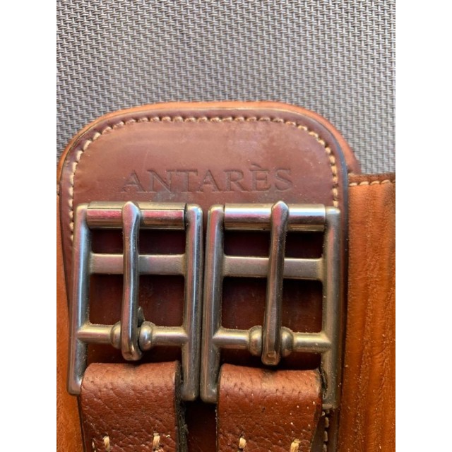 Sangle courte élastique Antares