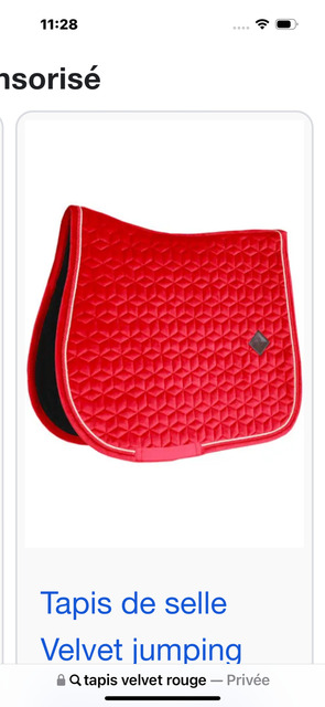 tapis kentucky