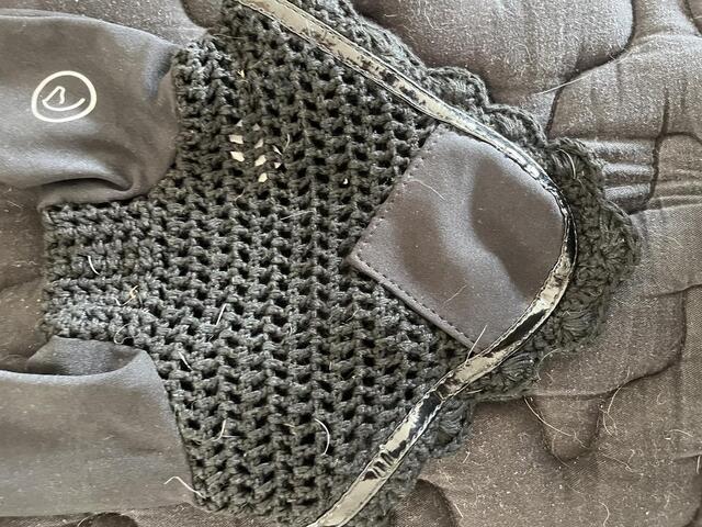 bonnet