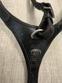Collier de chasse Protanner Gold