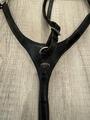 Collier de chasse Protanner Gold