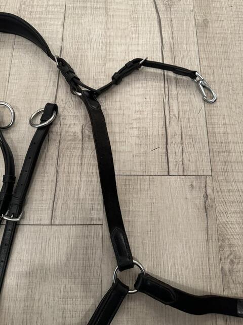 Collier de chasse Protanner Gold