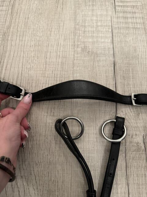 Collier de chasse Protanner Gold