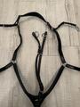 Collier de chasse Protanner Gold