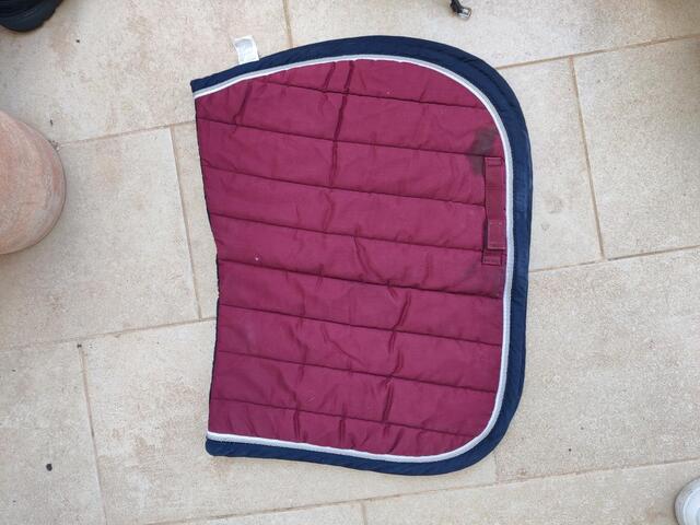 Tapis cheval bordeaux