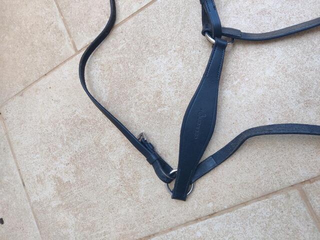 Collier de chasse 5 points