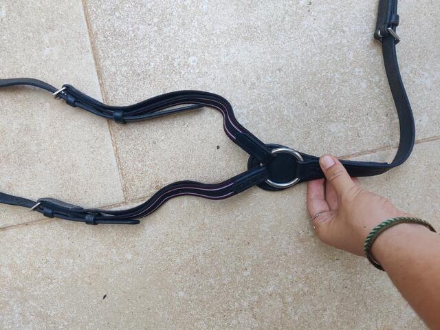 Collier de chasse 5 points