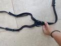 Collier de chasse 5 points