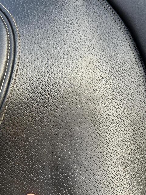 Selle paddock fougenza