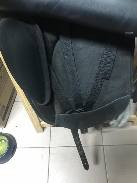 Selle Wintec Isabelle WERTH