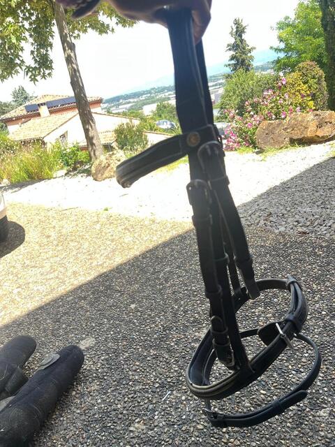 Bridon Canter cheval