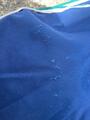 Chemise bleu/vert 125