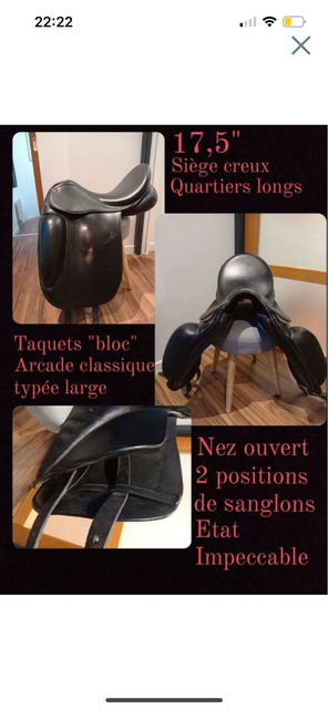 Selle dressage Don Rodrigo