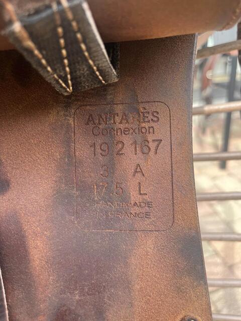 Selle ANTARÈS modèle connexion