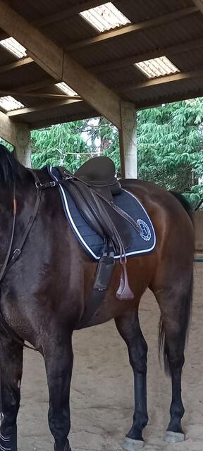 Selle
