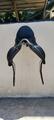 Selle de dressage Childéric
