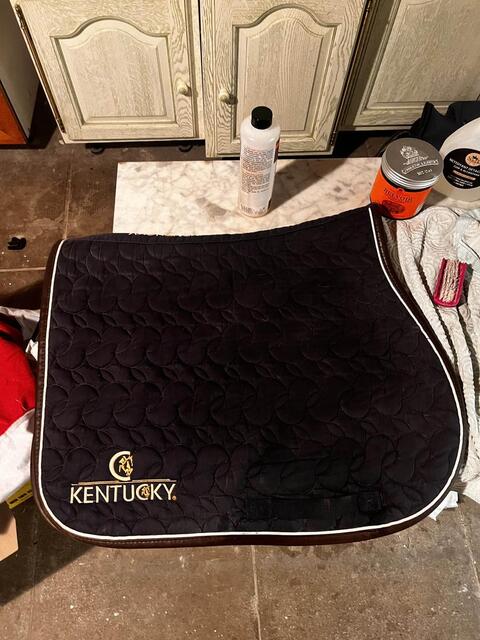 Tapis Kentucky absorb Bleu marine