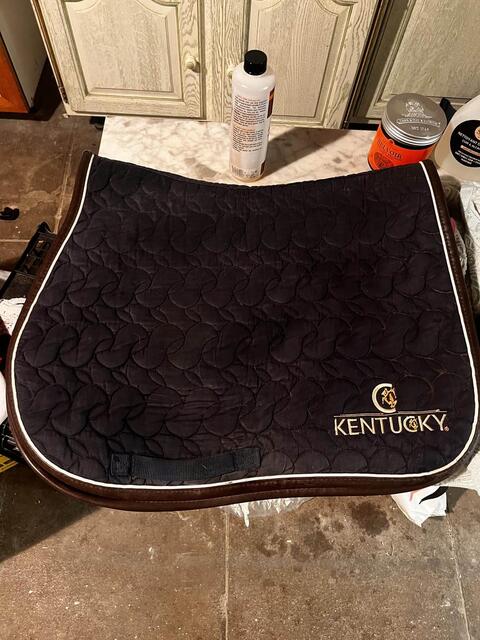 Tapis Kentucky absorb Bleu marine