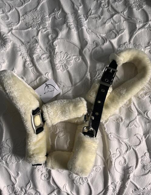 Licol mouton blanc