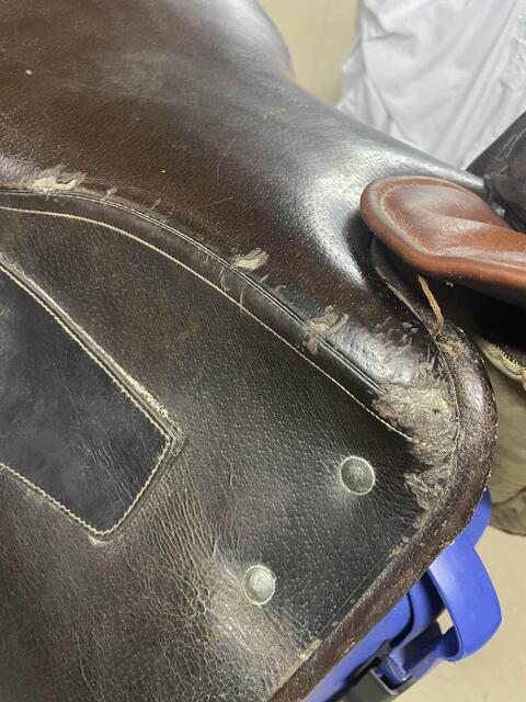 selle d’amazone