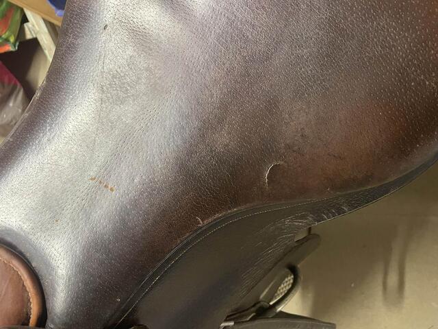 selle d’amazone