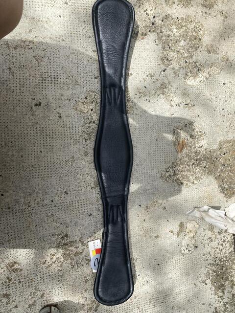 Sangle de dressage