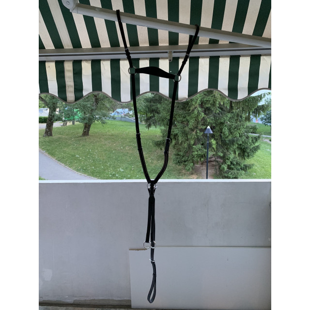 collier de chasse + martingale