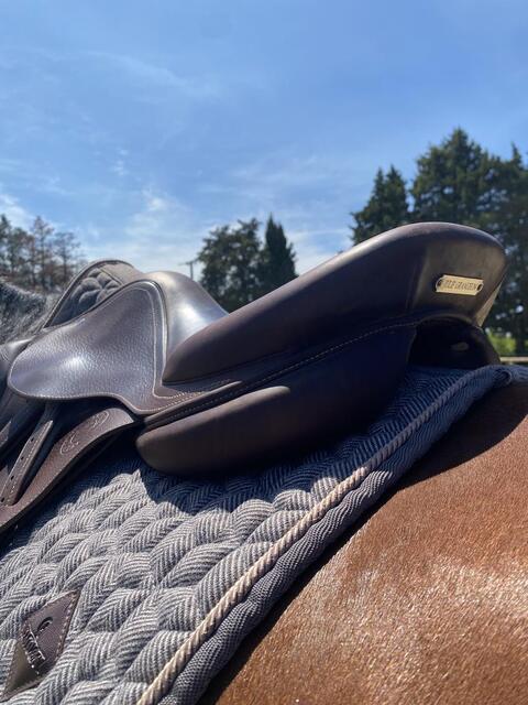 Selle Antarès Signature
