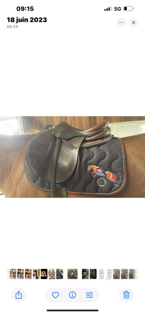 Selle antares 2016