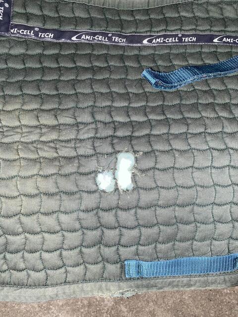 tapis de selle