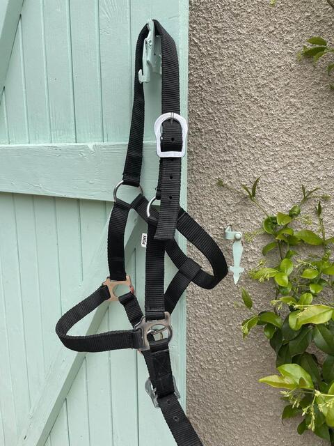 Licol poney et longe