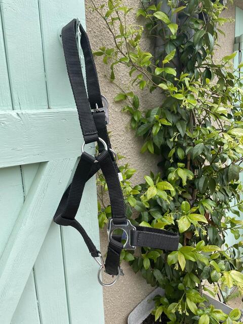 Licol poney et longe