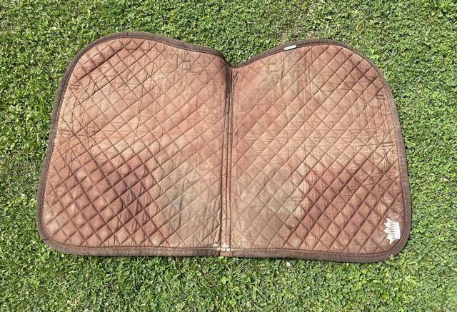 Tapis cheval