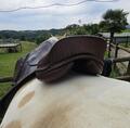 Selle petit pas sellier