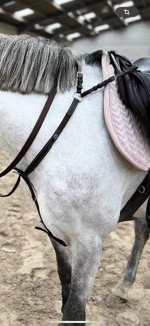 Collier de chasse Dy’on