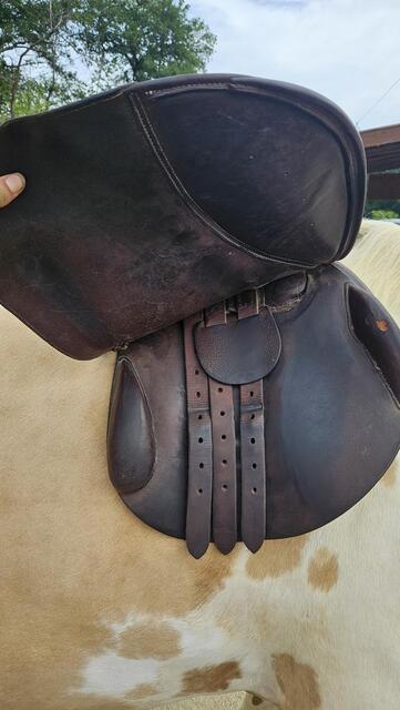 Selle petit pas sellier