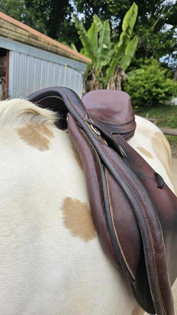 Selle petit pas sellier