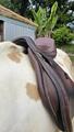 Selle petit pas sellier