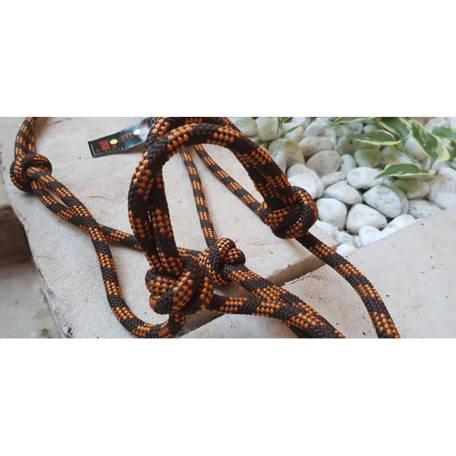 Ensemble licol+longe éthologique