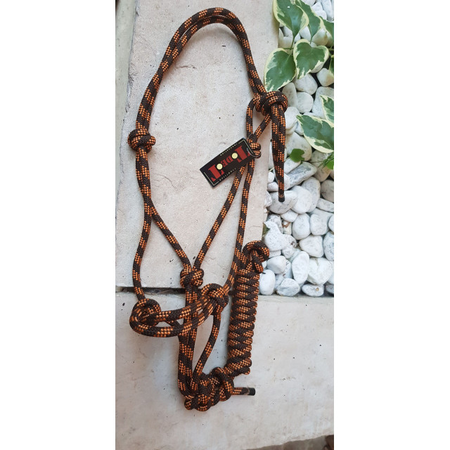 Ensemble licol+longe éthologique