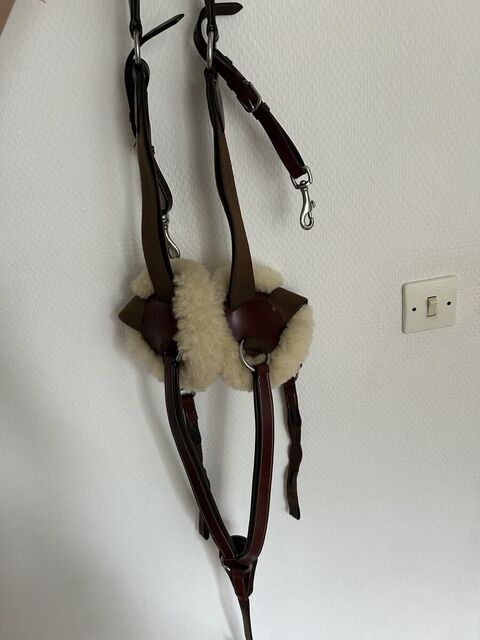 Collier de chasse Lexington