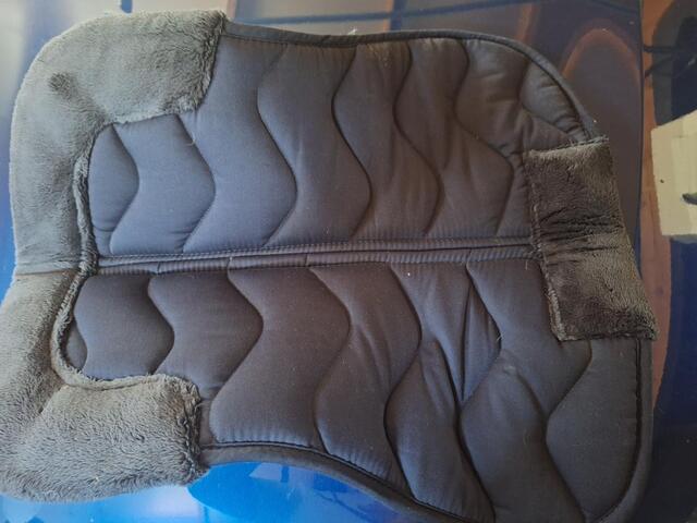 Amortisseurs bleu taille cob/cheval