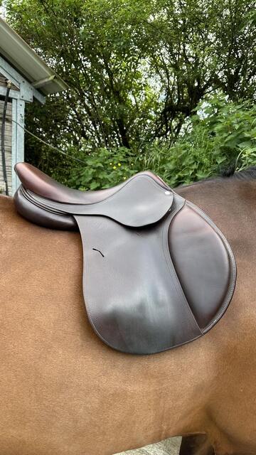 Selle Antarès Modèle Signature 17”