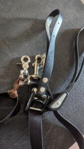 Rênes equidrive