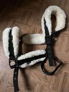 licol mouton