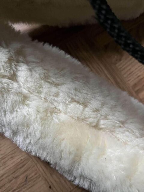 licol mouton