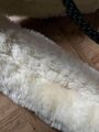 licol mouton