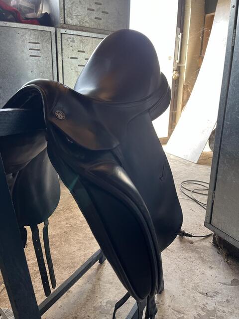 Selle dressage
