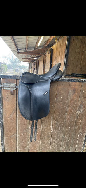 selle dressage Wintec