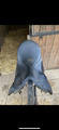 selle dressage Wintec